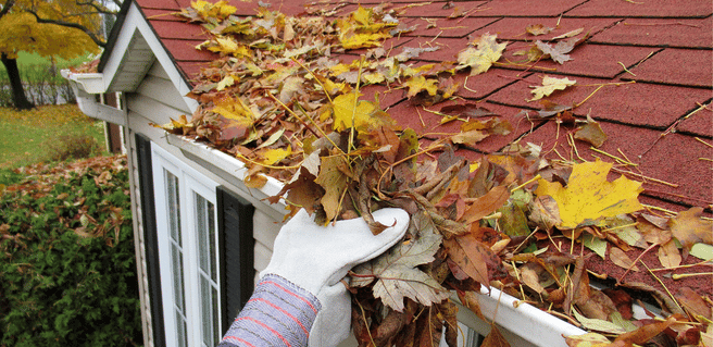 437b51 ce03b1170fe24c278e1e404b3c7f42e1mv2 - Fall Maintenance: Protecting Your Home and Rental Properties
